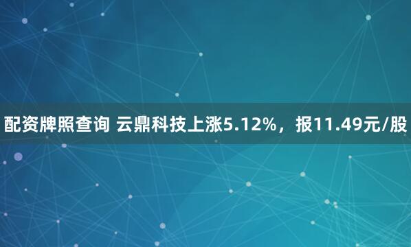 配资牌照查询 云鼎科技上涨5.12%，报11.49元/股