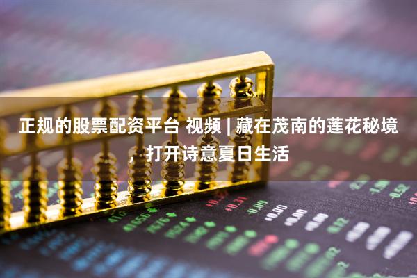 正规的股票配资平台 视频 | 藏在茂南的莲花秘境，打开诗意夏日生活