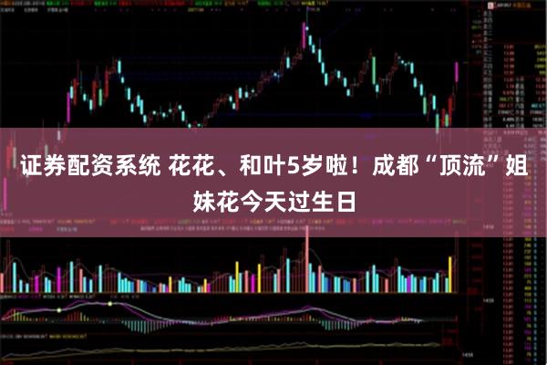 证券配资系统 花花、和叶5岁啦！成都“顶流”姐妹花今天过生日